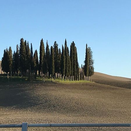 Il Giuggiolo Lägenhet Montalcino Exteriör bild